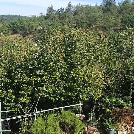 Nature Et Simplicite Douelle